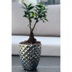 Keramični lonec Moon 01.012.14